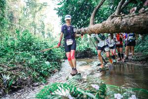 BIB: 
                            <button type="button" onclick="openModal(25461489)" class="btn btn-primary btn-sm float-right btn-popup" data-toggle="modal" data-target=".modal-high-quality">
                        <i class="fas fa-shopping-cart"></i> Add to Cart
                    </button>
                                            <button type="button" onclick="isThisMe(25461489, true)" class="btn btn-success btn-sm float-right btn-popup btn-isme hidden" data-toggle="tooltip" data-placement="bottom" title="นี่คือรูปของคุณใช่ไหม คลิกที่นี่เพื่อเอาเข้าอัลบั้ม">
                        <i class="fas fa-plus"></i> Add to album
                    </button>
                    <button type="button" onclick="isThisMe(25461489, false)" class="btn btn-warning btn-sm float-right btn-popup btn-isnotme hidden">
                        <i class="fas fa-ban"></i> Remove from album
                    </button>